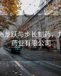 辽宁九洲龙跃与步长制药，九洲龙跃药业有限公司