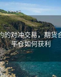 期货合约的对冲交易，期货合约对冲平仓如何获利