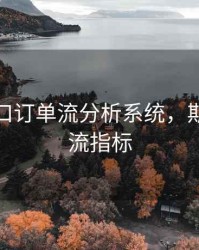 期货盘口订单流分析系统，期货订单流指标