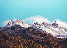 A股跟龙虾有关，龙虾 上市公司