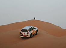 A股跟龙虾有关，龙虾 上市公司