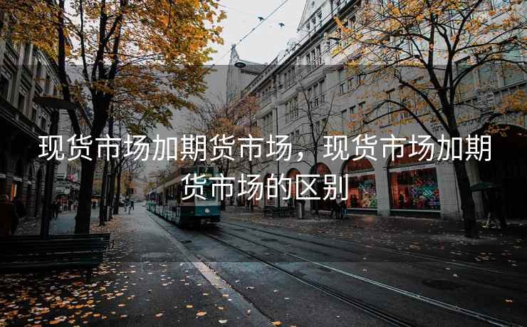 现货市场加期货市场，现货市场加期货市场的区别