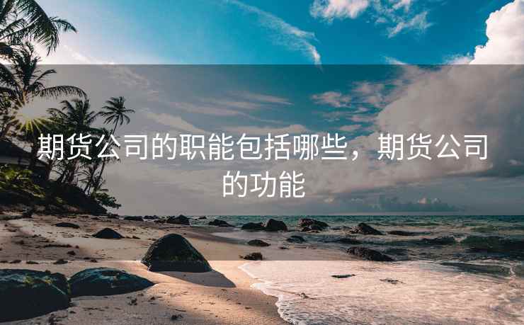 期货公司的职能包括哪些，期货公司的功能
