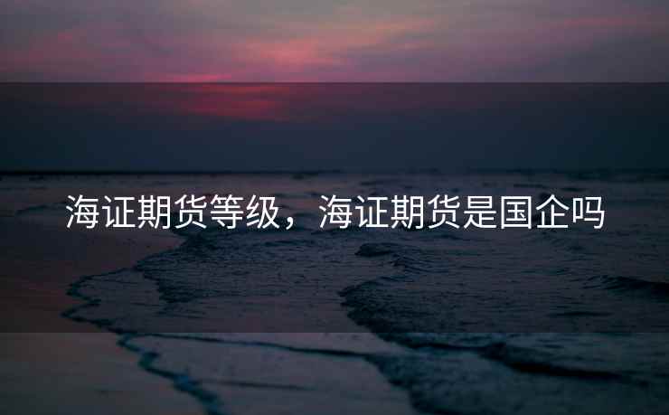 海证期货等级，海证期货是国企吗