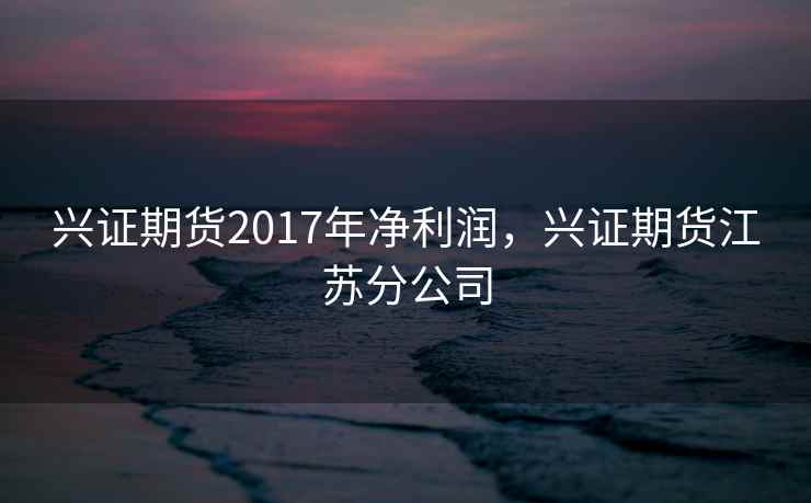 兴证期货2017年净利润，兴证期货江苏分公司