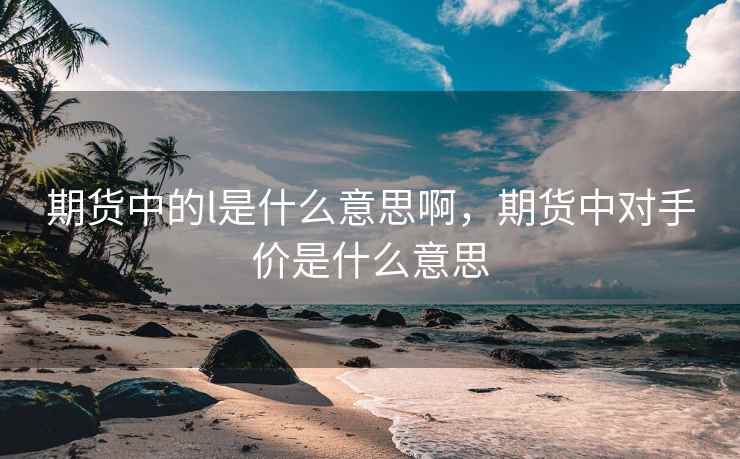 期货中的l是什么意思啊，期货中对手价是什么意思