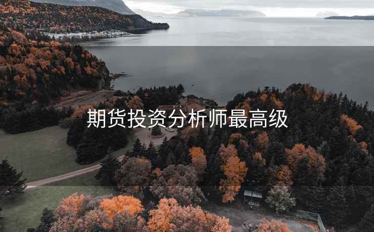 期货投资分析师最高级