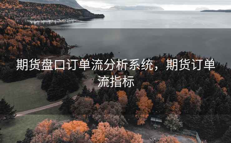 期货盘口订单流分析系统，期货订单流指标