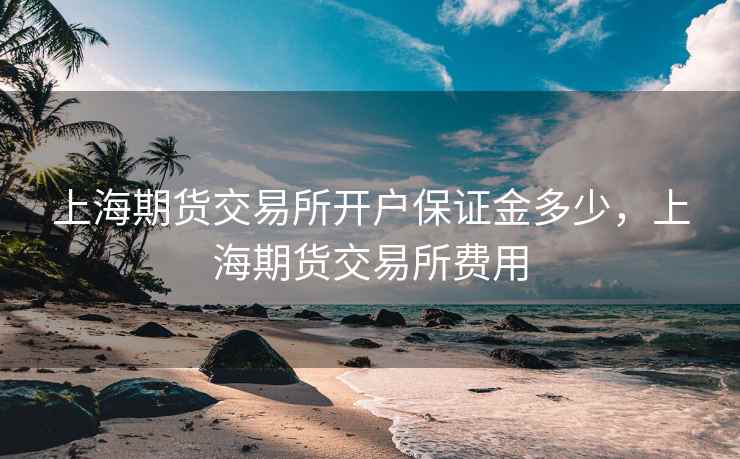 上海期货交易所开户保证金多少，上海期货交易所费用