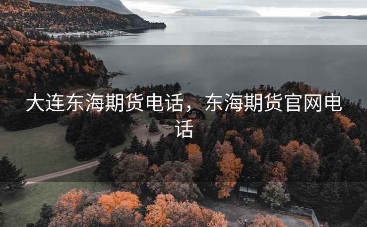 大连东海期货电话,东海期货官网电话 大连东海期货电话,东海期货官网电话