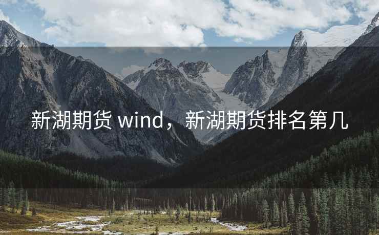 新湖期货 wind,新湖期货排名第几 新湖期货 wind,新湖期货排名第几