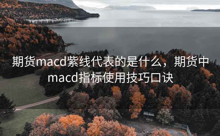 期货macd紫线代表的是什么，期货中macd指标使用技巧口诀