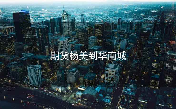 期货杨美到华南城